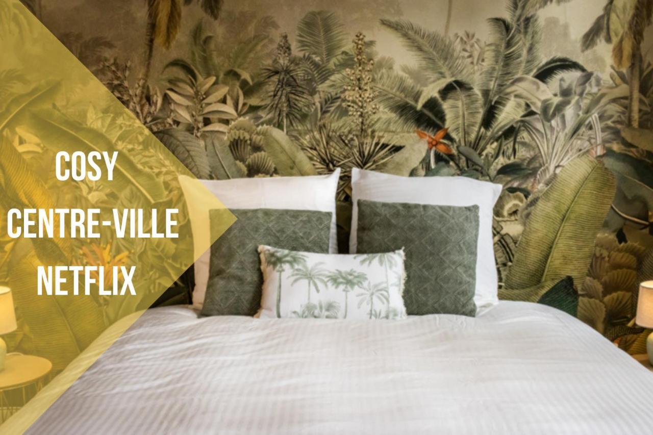 *Maison Bel-Etage-Netflix-Wifi-Coeur De Ville* Lägenhet Cambrai Exteriör bild